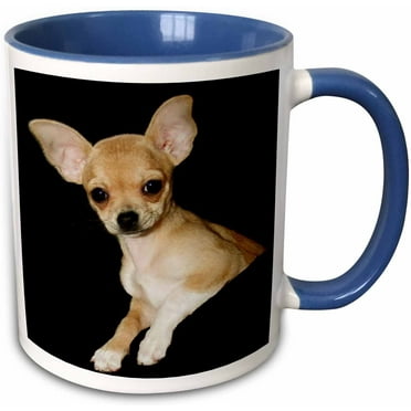 8 by 8-inch Santa Fe New Mexico Julien McRoberts qs_92682_3 3dRose Toothless Chihuahua Dog US32 JMR0502 Quilt Square 8 by 8-inch Santa Fe New Mexico Julien McRoberts qs_92682_3 3dRose Toothless Chihuahua Dog US32 JMR0502 Quilt Square